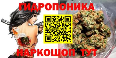 герыч Боровичи