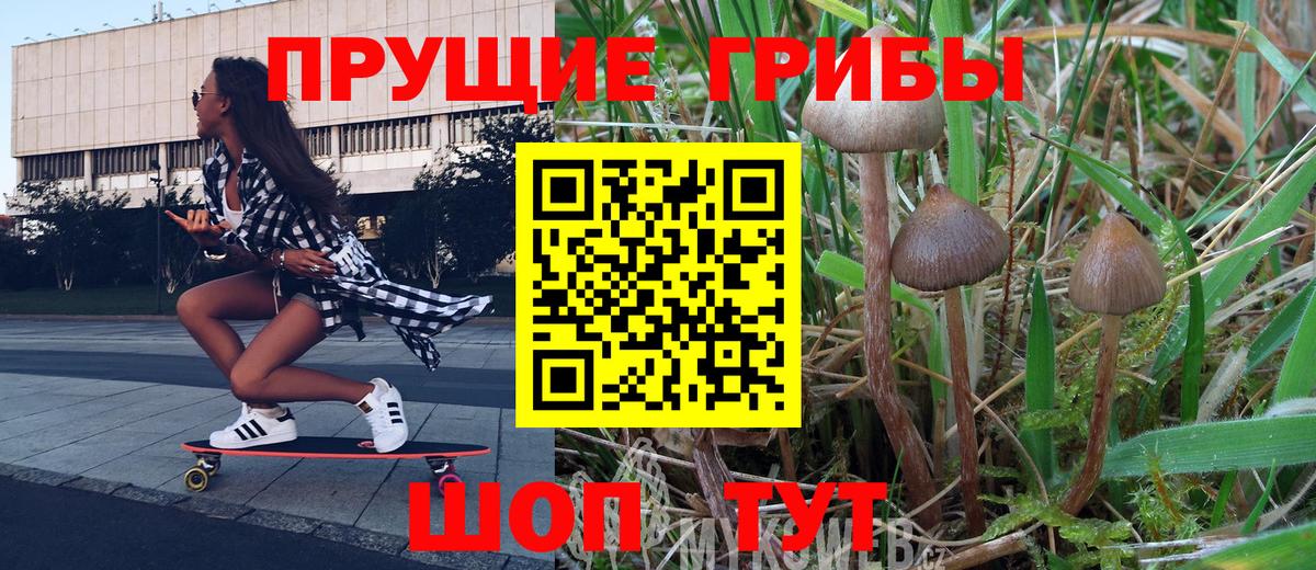 Псилоцибиновые грибы прущие грибы  Вход с VPN  Галлюциногенные грибы MAGIC MUSHROOMS  Россошь 