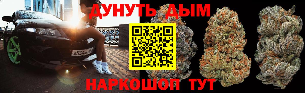 Бошки марихуана гибрид  Вход с VPN  Бошки марихуана семена  Россошь 